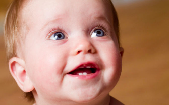 كم عدد أسنان الطفل التي يجب أن ينجبها الطفل خلال عامين