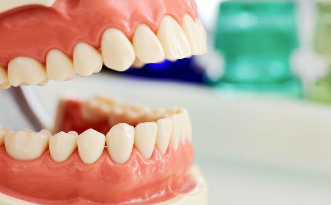 Nazwy i układ zębów u dorosłych i dzieci