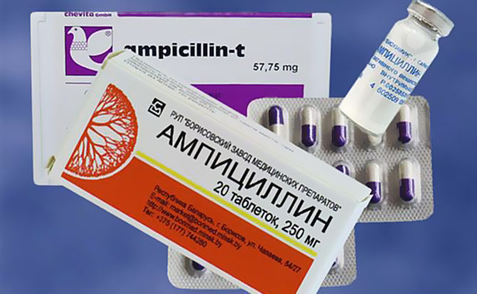 ampicilín