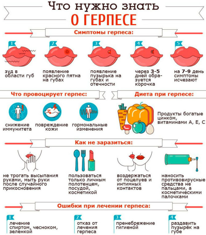 Những điều bạn cần biết về herpes