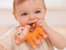 Teether toy