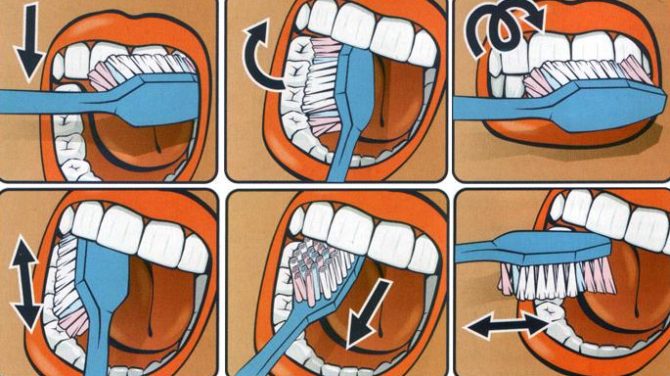 Infographics cách đánh răng cho bé