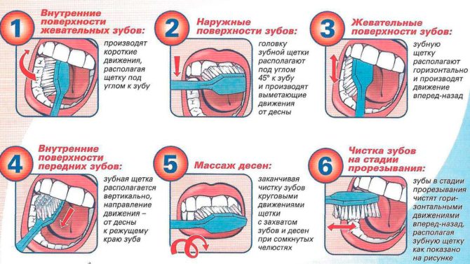Infografikk hvordan du børster tennene.