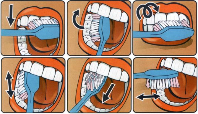 Infografika, kaip valyti dantis.