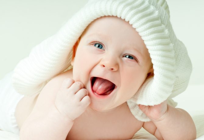 Zorzal en un bebé en su boca