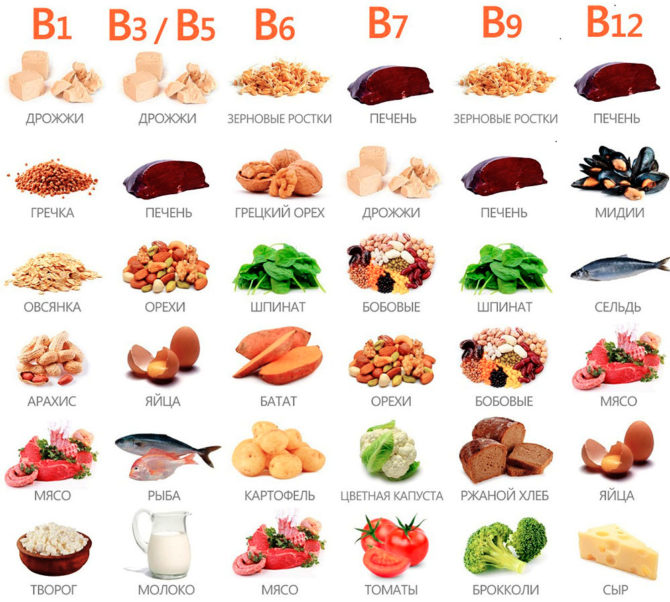 Alimentos ricos en vitaminas B