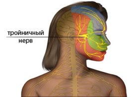 A localização do nervo trigêmeo
