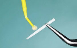 Pin dental de fibra de carbono
