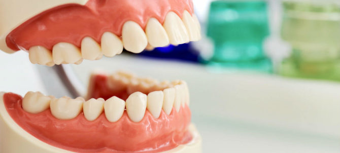 Zubi odraslih