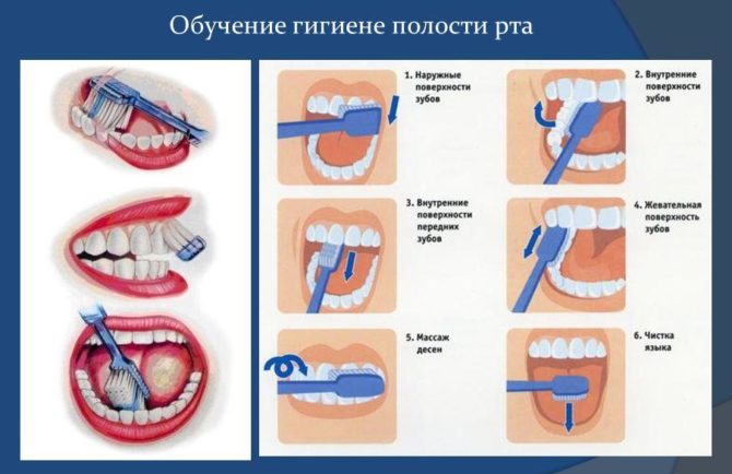 Cách đánh răng