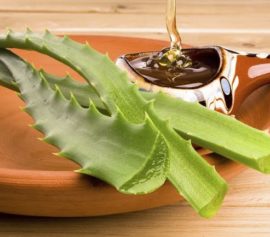 Honig und Aloe gegen Zahnfleischerkrankungen